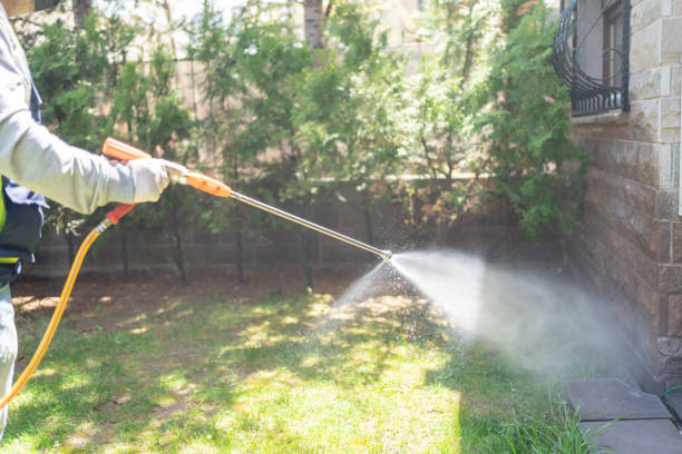 Best Best Pest Control Companies  in Alburtis, PA